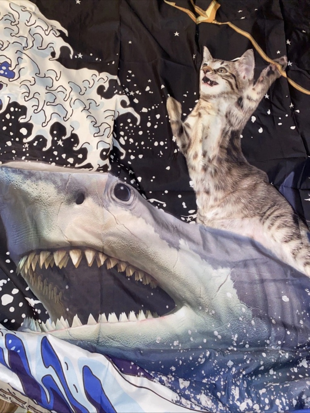 Cat And Shark Wall Hanging Novelty 80x60 Inches